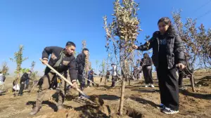 «Жарқын күз»: алматылықтар қаланы көгалдандыруға қалай атсалысуда?