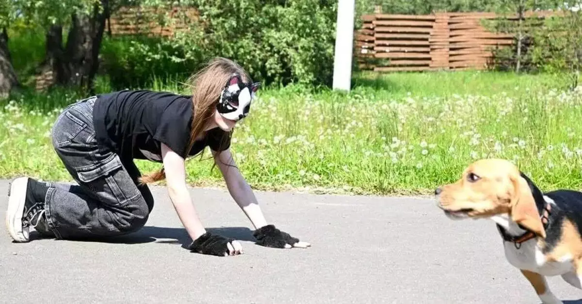 Мәжіліс депутаты елімізде төрт аяқты адамдардың көбейгеніне алаңдаулы