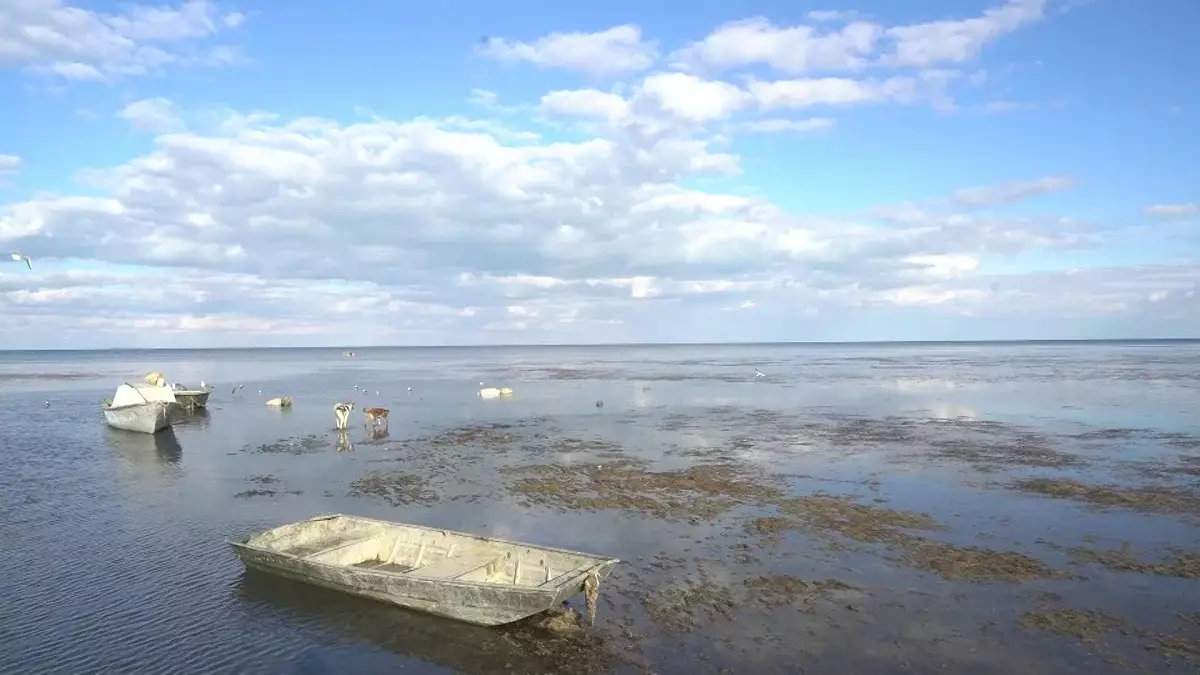 Арал теңізі қалпына келе ме: Сенат Қазақстан мен Өзбекстан әзірлеген маңызды құжатты мақұлдады