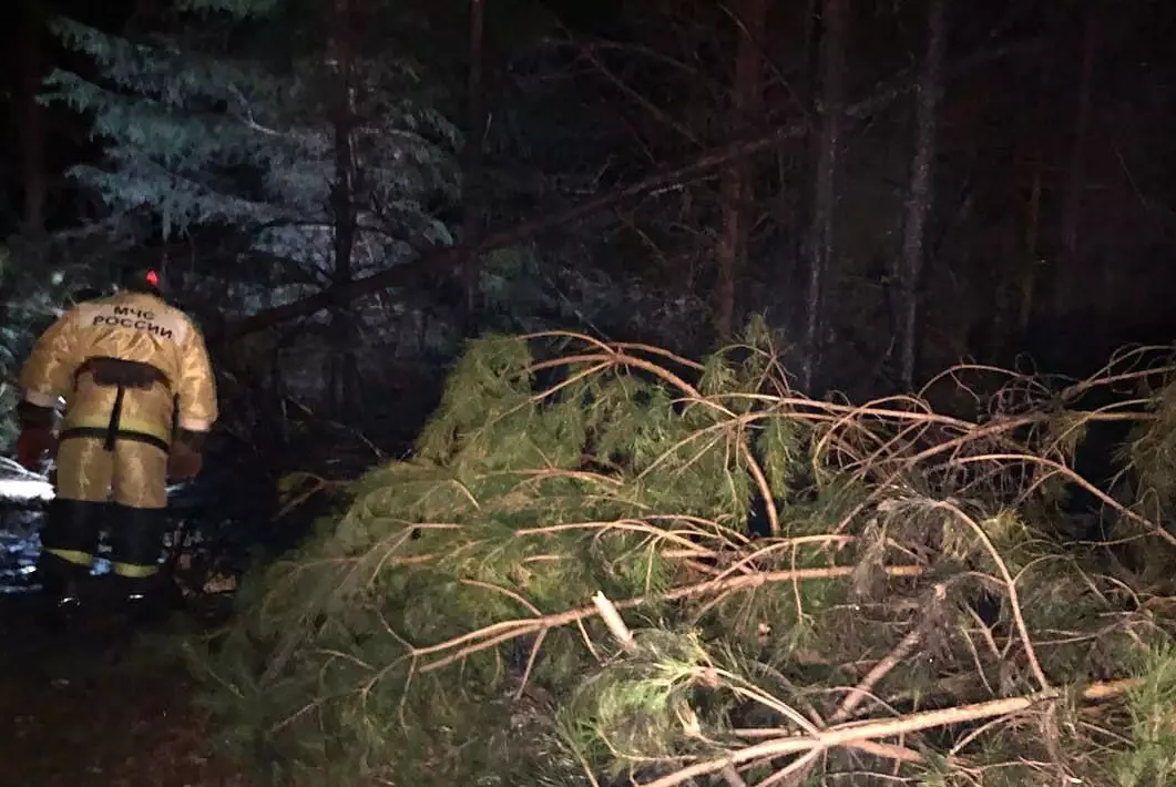 Тело четвёртого погибшего найдено на месте падения вертолёта под Кировом