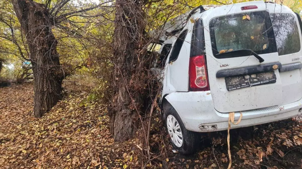 Алматы облысында көлік ағашқа соғылып, бір адам қайтыс болды