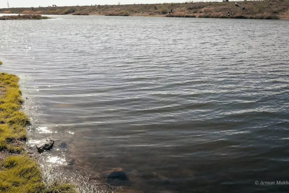 "Не дать себе засохнуть": останется ли Казахстан без воды?