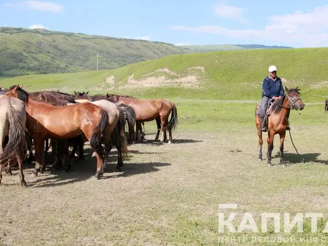 НПП предлагает внедрить японскую программу развития регионов