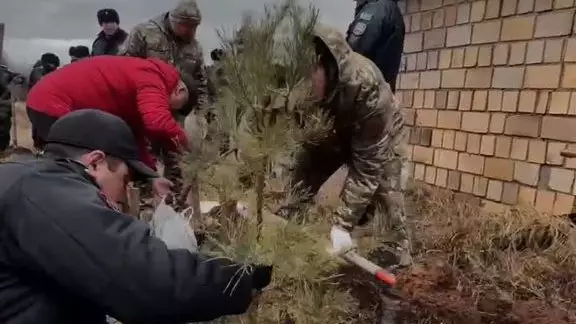 Қарағандыда төтеншеліктер әр сенбіде ағаш отырғызуды дәстүрге айналдырған