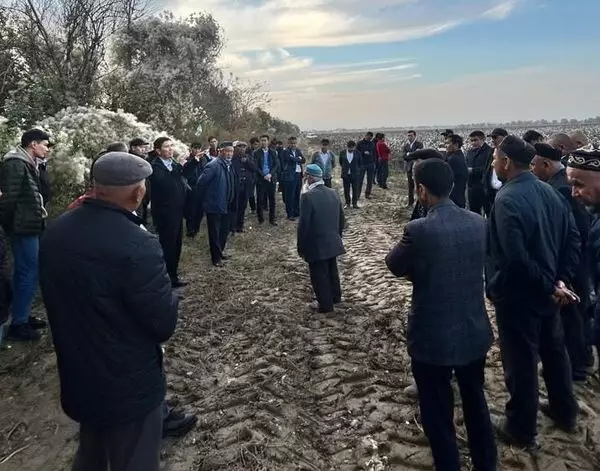 Тамшылатып суғару технологиясы бойынша егілген мақта 60 центнер өнім беріп отыр