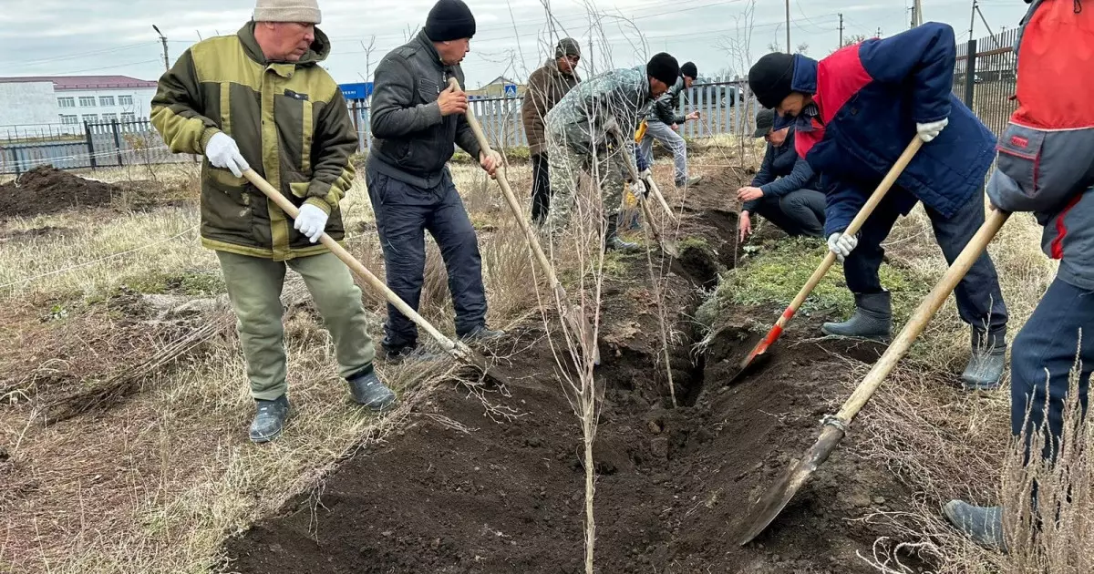   «Экологияны қорғау – ортақ міндет»: «AMANAT» партиясының «Таза бейсенбі» акциясы жалғасуда   