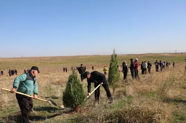 ТҮРКІСТАН: САРЫАҒАШТА ӨТКЕН СЕНБІЛІКТЕ 300 ТҮП АҒАШ ОТЫРҒЫЗЫЛДЫ