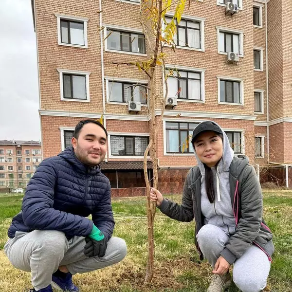 ТҮРКІСТАН: ЦИФРЛАНДЫРУ ЖӘНЕ АҚПАРАТТЫҚ ТЕХНОЛОГИЯЛАР САЛАСЫНЫҢ ҚЫЗМЕТКЕРЛЕРІ 200-ГЕ ЖУЫҚ АҒАШ ОТЫРҒЫЗДЫ