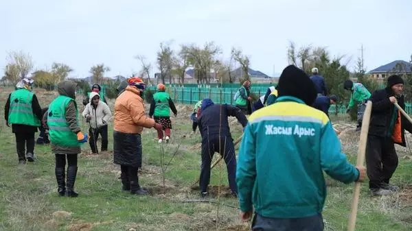 ТҮРКІСТАН: АРЫСТАҒЫ ТҰҚЫМБАҚТА ӨСІРІЛГЕН АЛҒАШҚЫ КӨШЕТТЕР ОТЫРҒЫЗЫЛДЫ