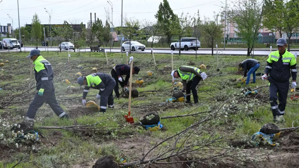 В Алматы высадили 150 тысяч деревьев в рамках осеннего озеленения