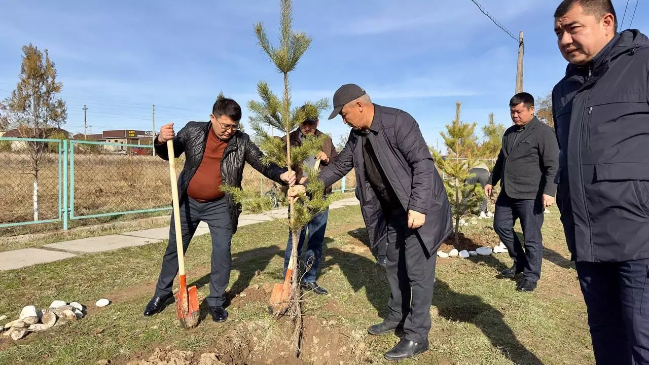 ҚАЗЫҒҰРТ: КҮЗГІ КӨШЕТТЕР ЕГІЛІП, ЖАЛПЫАУДАНДЫҚ СЕНБІЛІК ӨТТІ