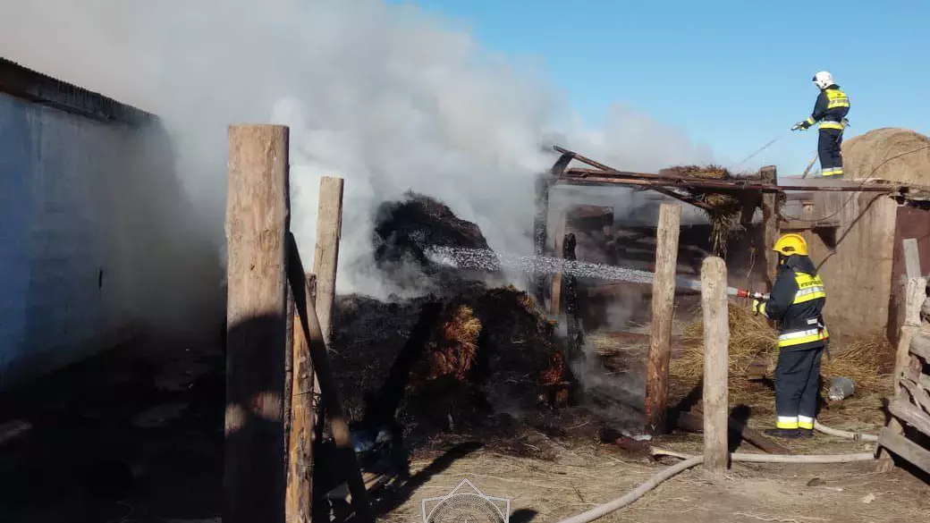 Абай облысында 15 тонна шөп өртенді