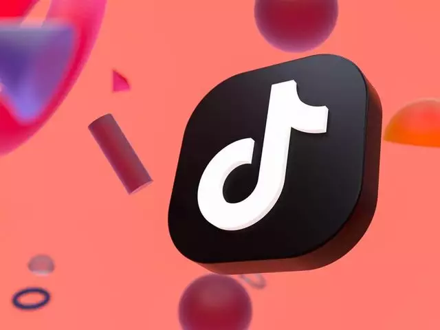 TikTok надеется на посредничество Илона Маска в переговорах с властями США