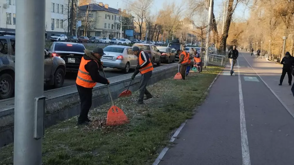 Большая уборка Алматы к зиме: все детали