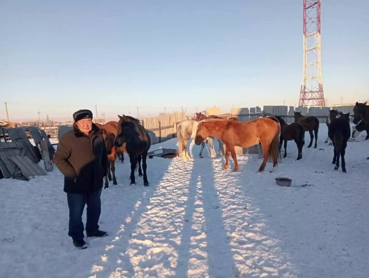 Табун лошадей спустя 10 дней поисков нашли в Костанайской области