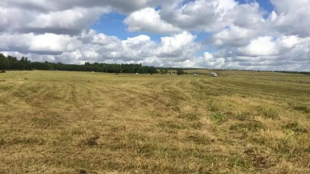 Более 160 тысяч гектар земель в Карагандинской области возвращена государству