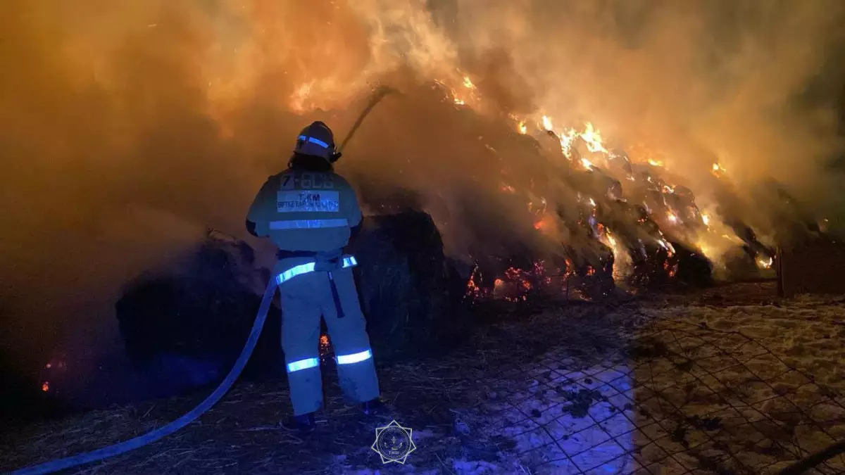 Алматы облысында 1300 орамда сақталған шөп өртенді