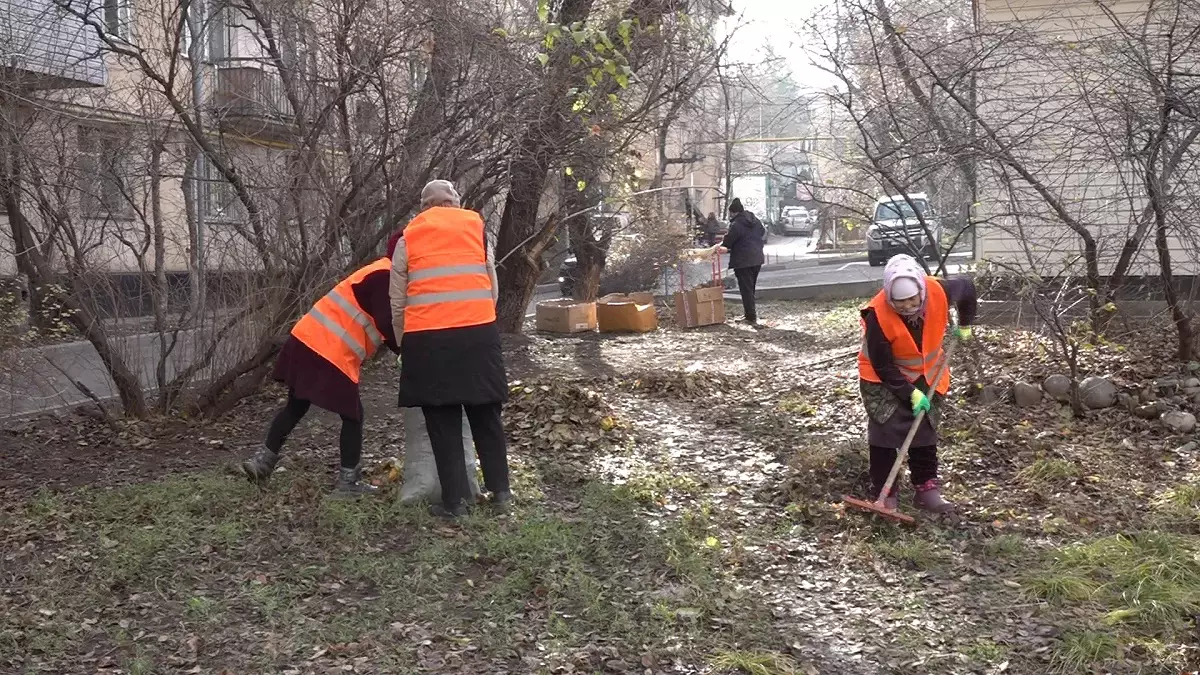 Коммунальные службы Бостандыкского района ежедневно убирают около 700 дворов