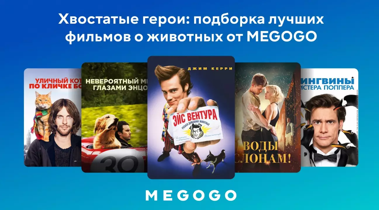 Топ-10 фильмов о домашних животных — смотрите на MEGOGO