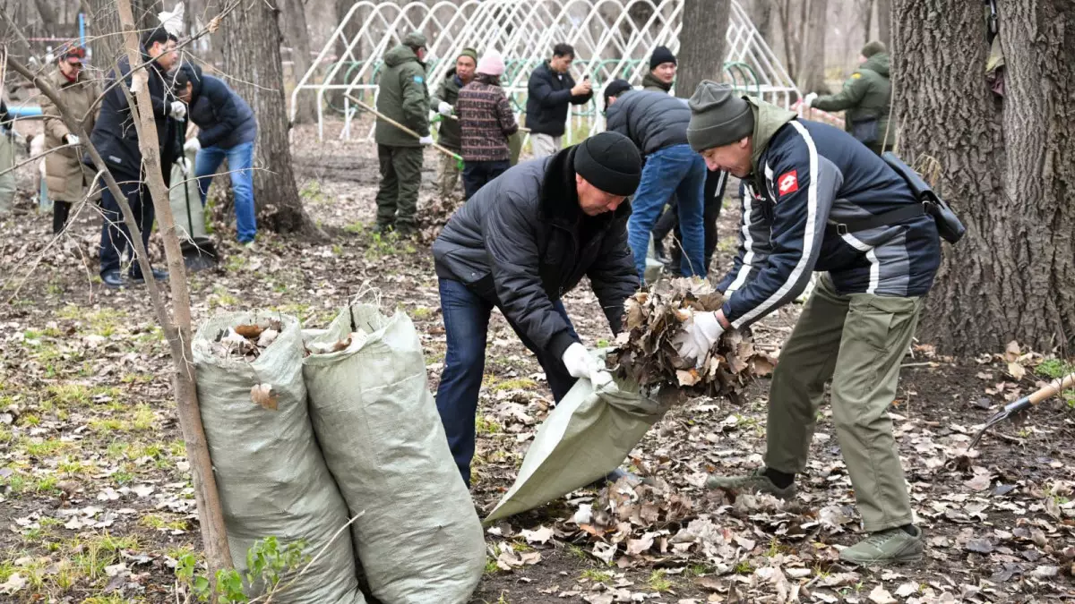 Алматыда қыстың алдында Баум тоғайы тазартылды