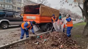 Алматыда тазалық бойынша кешенді тәсіл әзірленді