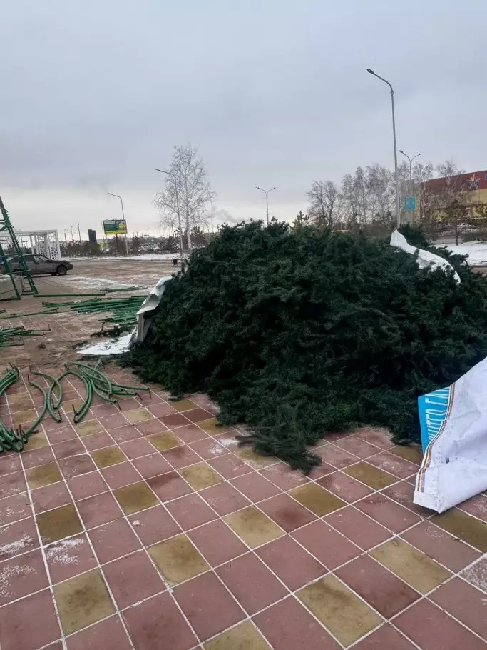 В Костанае стартовала подготовка к Новому году: елку устанавливают напротив «Жастар сарайы»