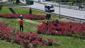 В Алматы принимаются системные меры по благоустройству и озеленению – Ерболат Досаев