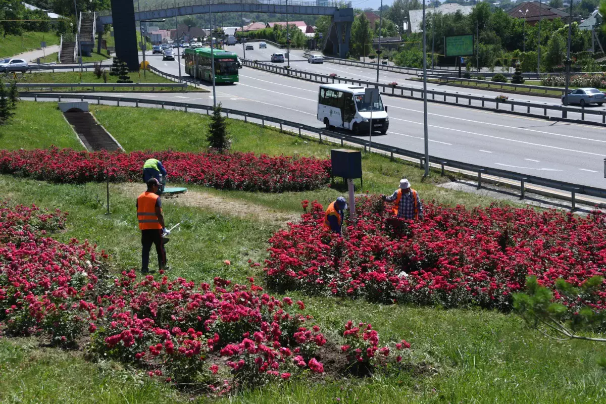 Алматыда абаттандыру және көгалдандыру бойынша жүйелі шаралар қабылдануда