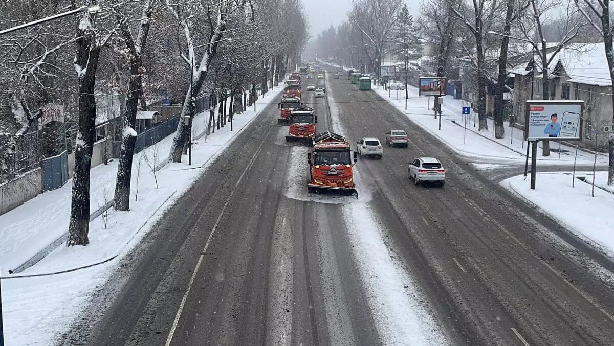 Обильный снегопад накрыл Алматы