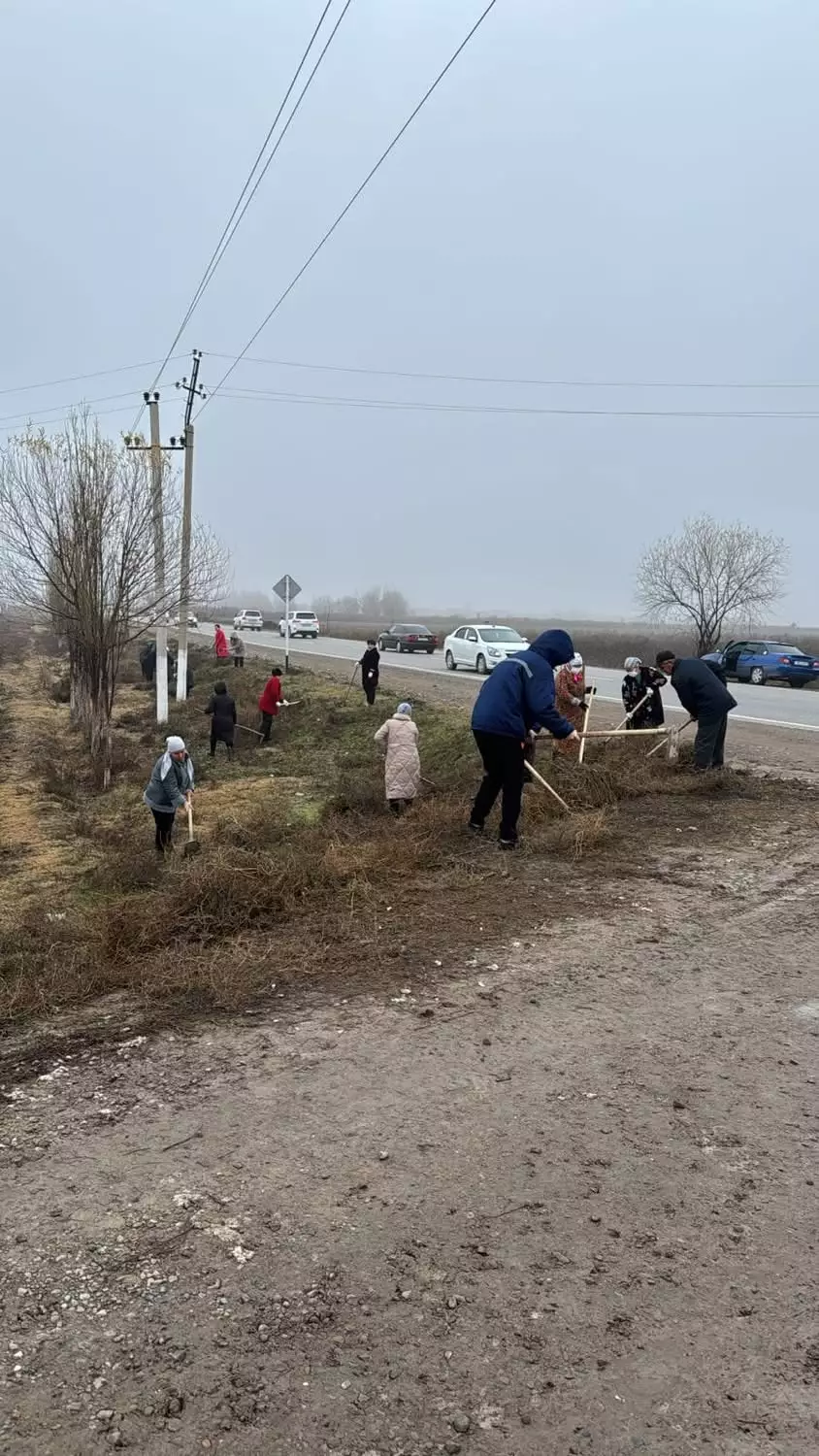 ТҮРКІСТАН ОБЛЫСЫНДАҒЫ АУДАНДАРДА ТАЗАЛЫҚ ЖҰМЫСТАРЫ ЖҮРГІЗІЛІП, ТҮРЛІ КӨШЕТТЕР ОТЫРҒЫЗЫЛДЫ