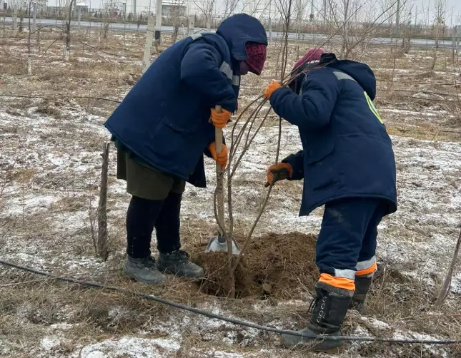 «ТАЗА ҚАЗАҚСТАН»: «ЖАСЫЛ БЕЛДЕУ» АУМАҒЫНДА СЕНБІЛІК ӨТТІ