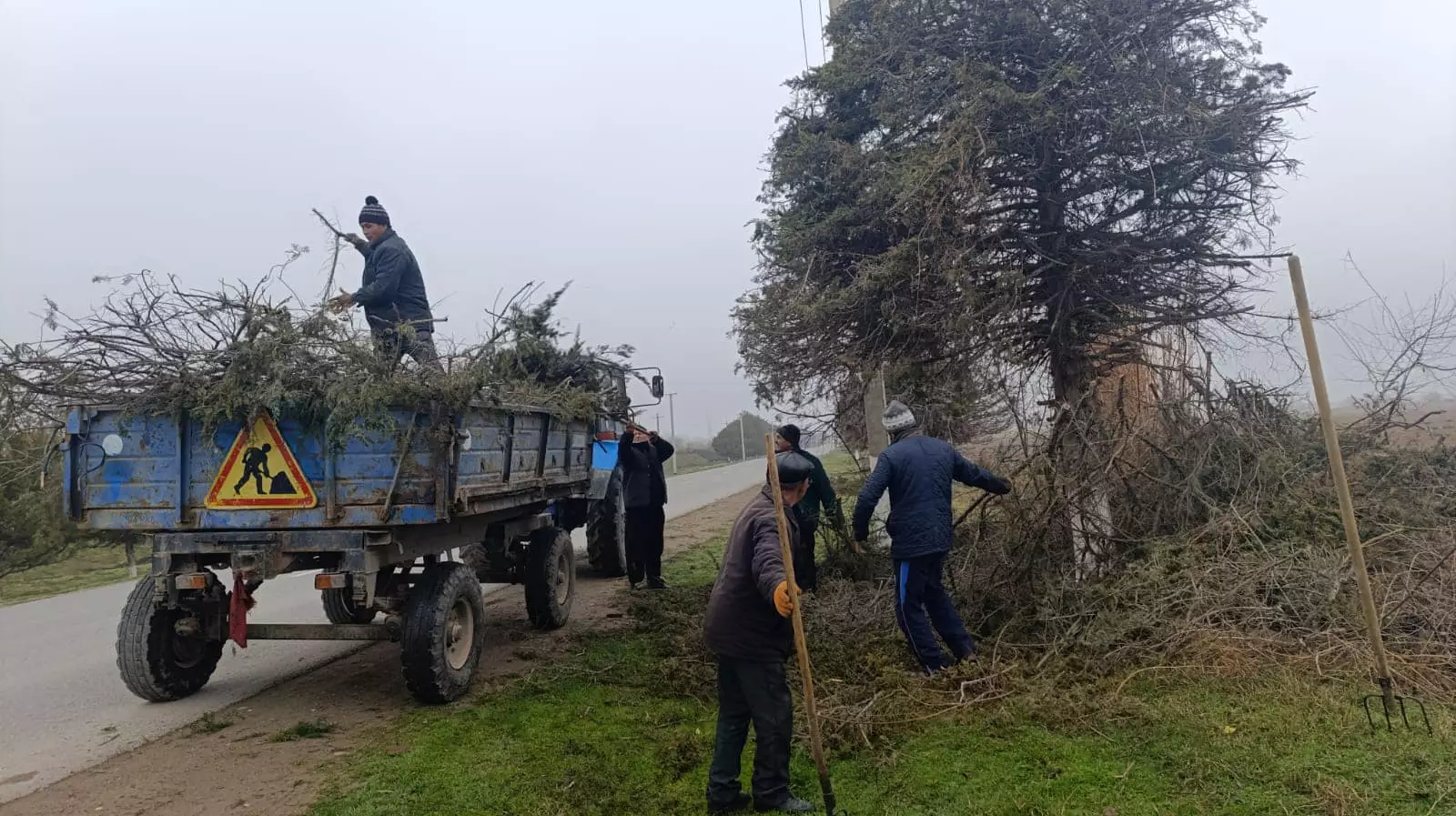 ТҮРКІСТАН: ЖЕТІСАЙДА ТАЗАЛЫҚ ЖҰМЫСТАРЫ ЖҮРГІЗІЛІП, ТҮРЛІ КӨШЕТТЕР ОТЫРҒЫЗЫЛДЫ