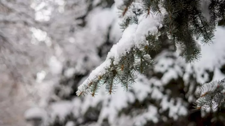 Еліміздің 16 өңіріне дауылды ескерту жасалды