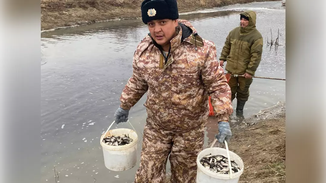 В Жайык-Каспийском бассейне спасены 300 тысяч мальков рыб