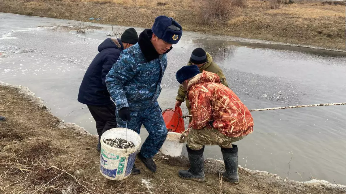 Жайық-Каспий бассейнінде балық шабақтарының қырылуы алдын алынды