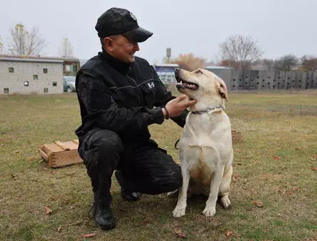 Иісшіл иттердің көмегімен есірткіні заңсыз тасымалдаудың 33 фактісін анықталды