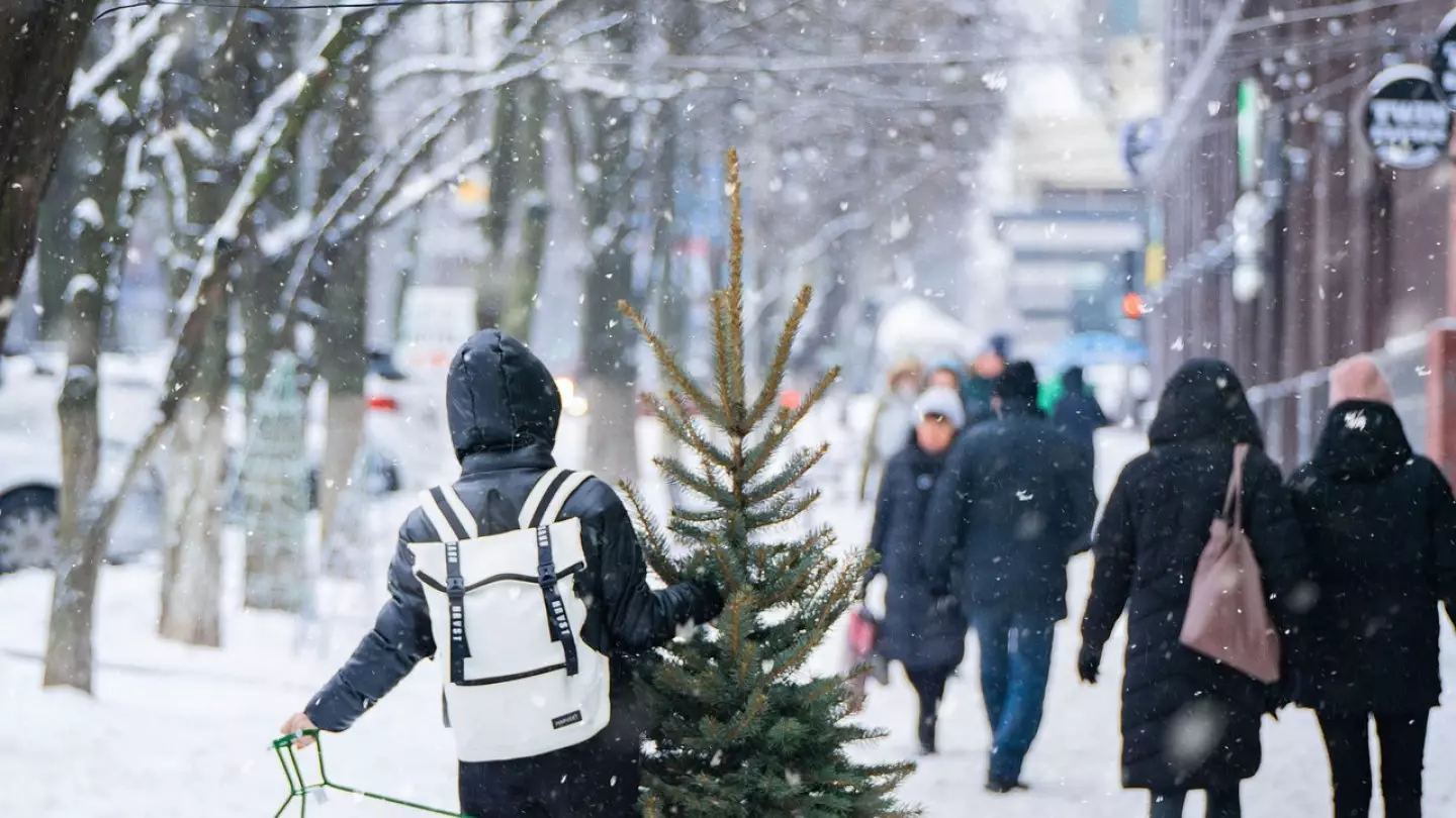 Снег и метели — прогноз погоды на 22 декабря