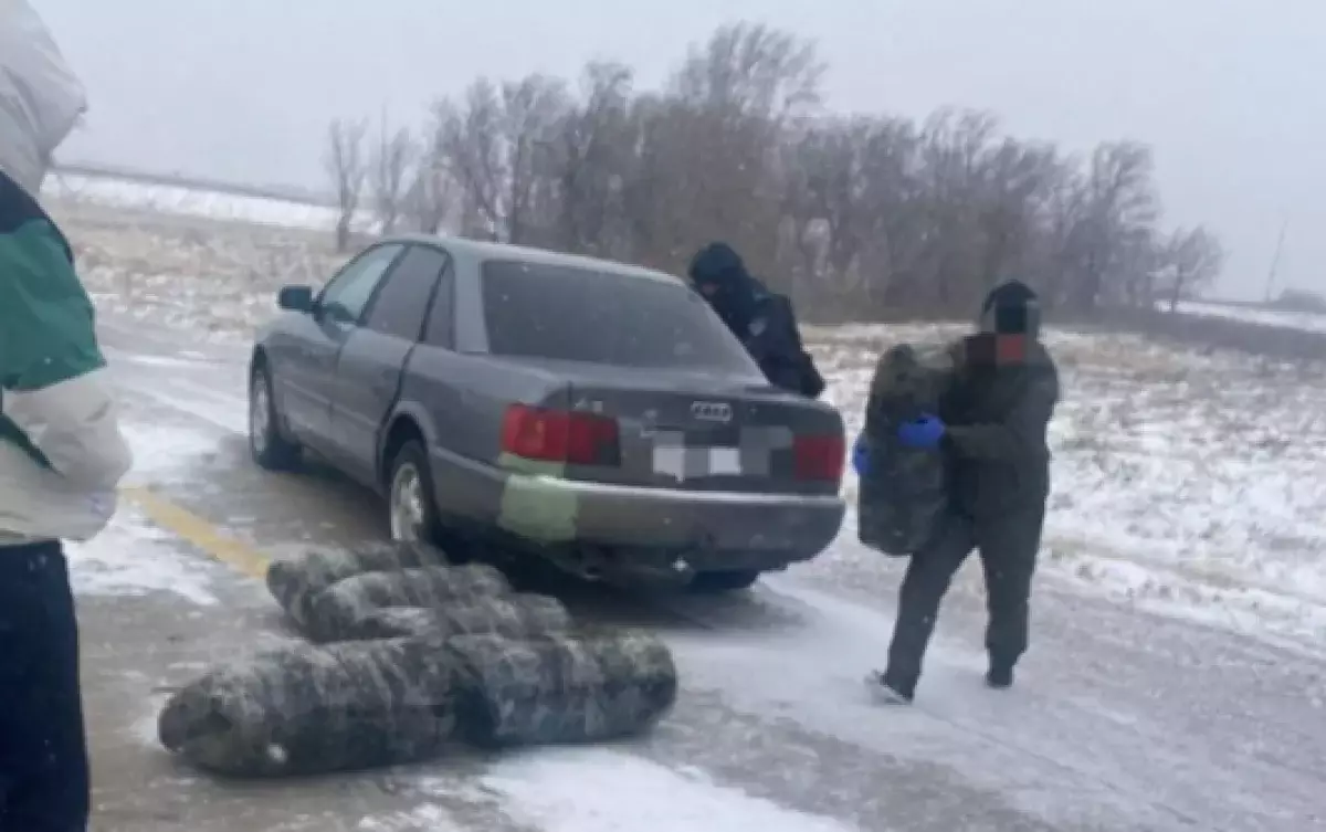 Более 250 килограмм высушенной марихуаны пытались провезти жители Жамбылской области