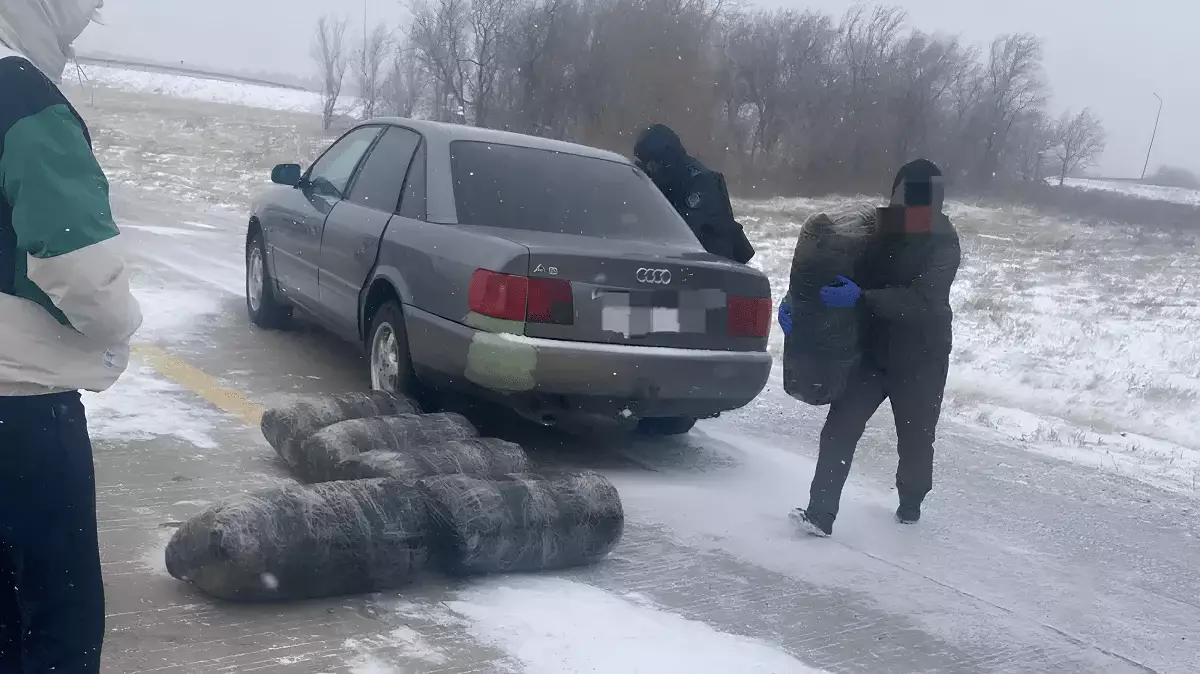 266 килограмм проблем: полицейские Карагандинской области поймали наркокурьеров с крупной партией