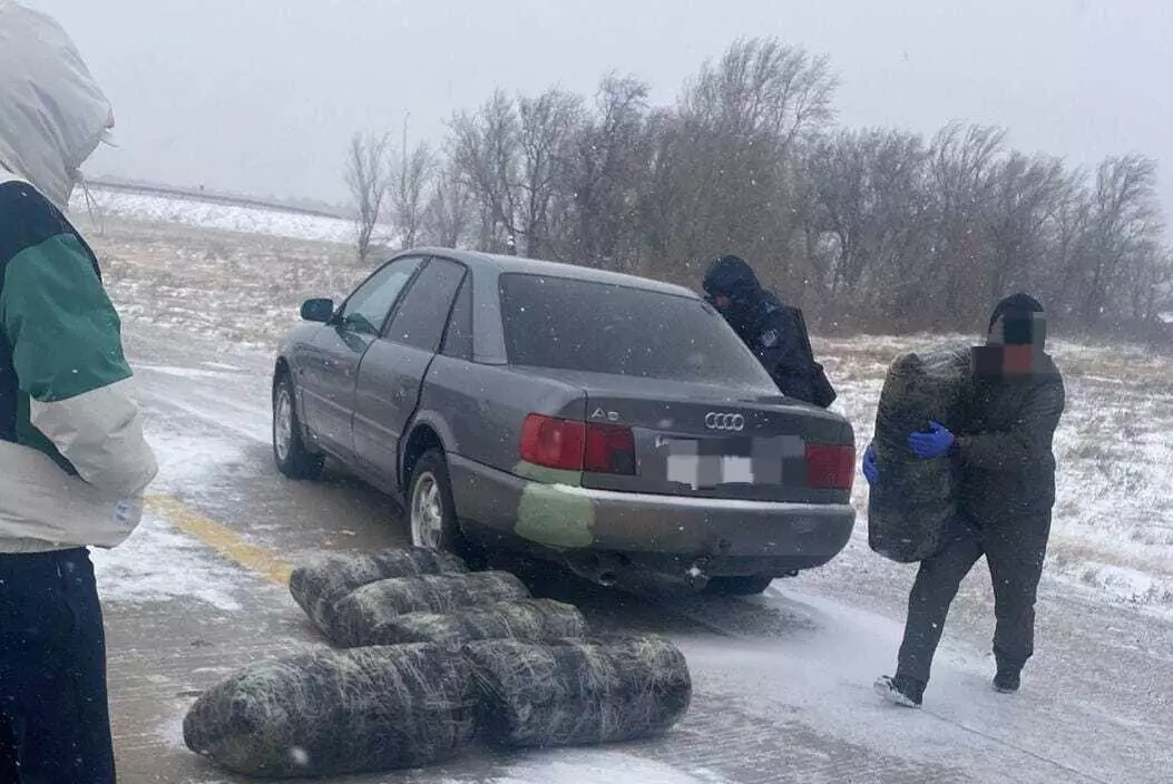 13 мешков марихуаны везли на Audi наркокурьеры в Карагандинской области