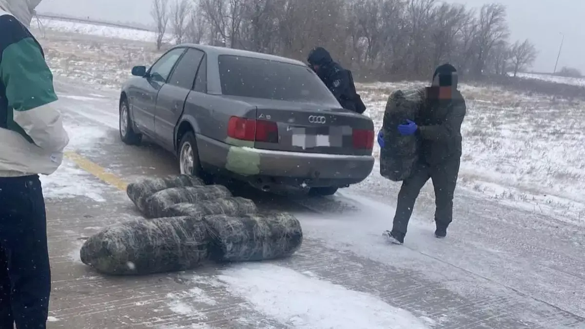 266 кг марихуаны изъяли у водителя на трассе в Карагандинской области