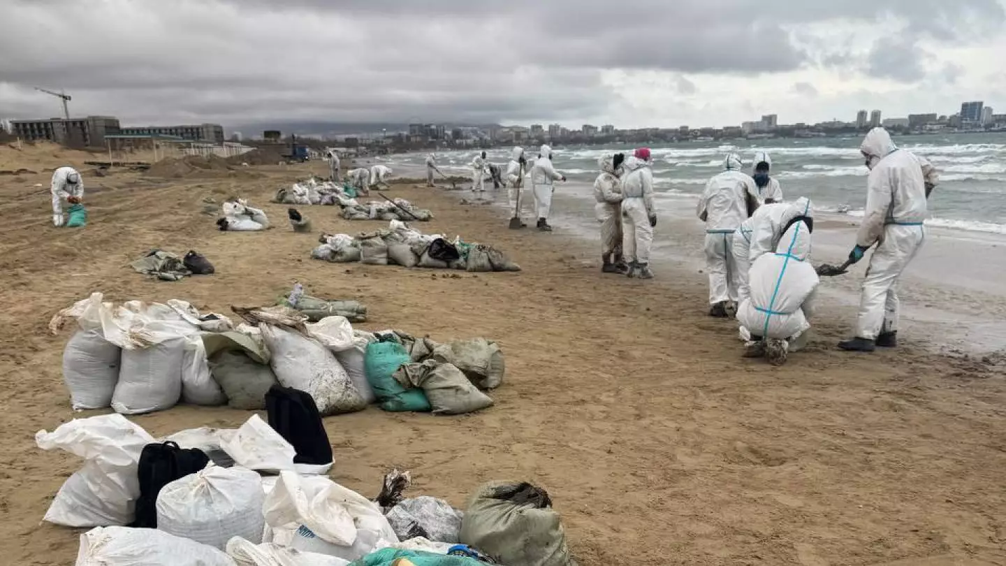 Экологическое ЧП в Чёрном море: из-за разлива мазута гибнут птицы и животные