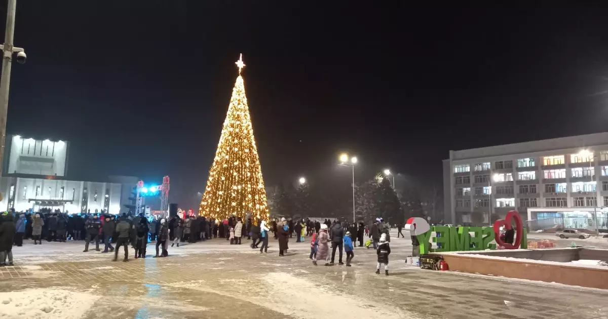   Семейде шырша безендіруге барған мұғалім биіктен құлап, қалалық білім бөлімінің басшысы қызметінен кетті   