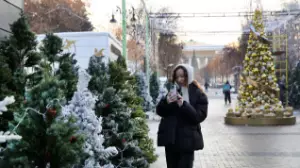 В Алматы организовали ярмарку новогодних елок