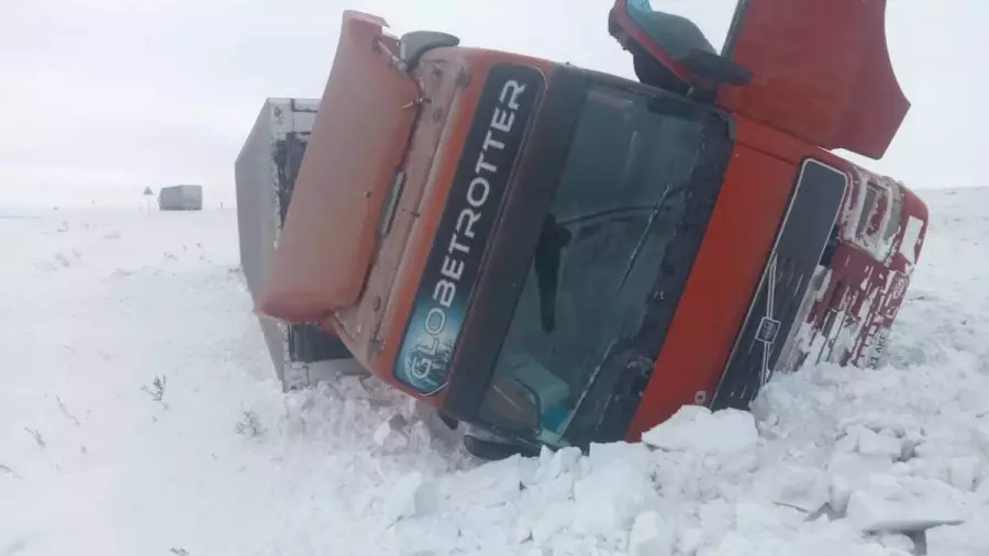 СҚО-да 20 тонна сыра тиелген жүк көлігі аударылып қалды  