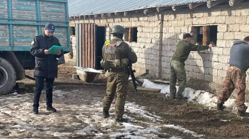 Секретный туннель обнаружили на границе Казахстана26.12.2024 16:00 - новости на Lada.kz