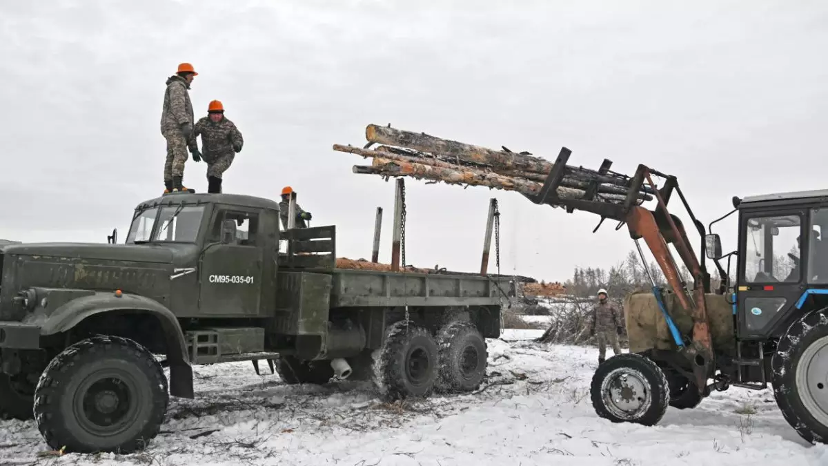 Семейде әскери қызметшілер 17 гектардан астам орман учаскесін тазартты