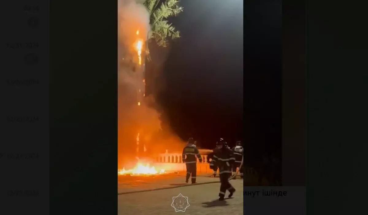 Жаңа жыл түнінде Ақтаудағы жасанды пальма өртенді (ВИДЕО)