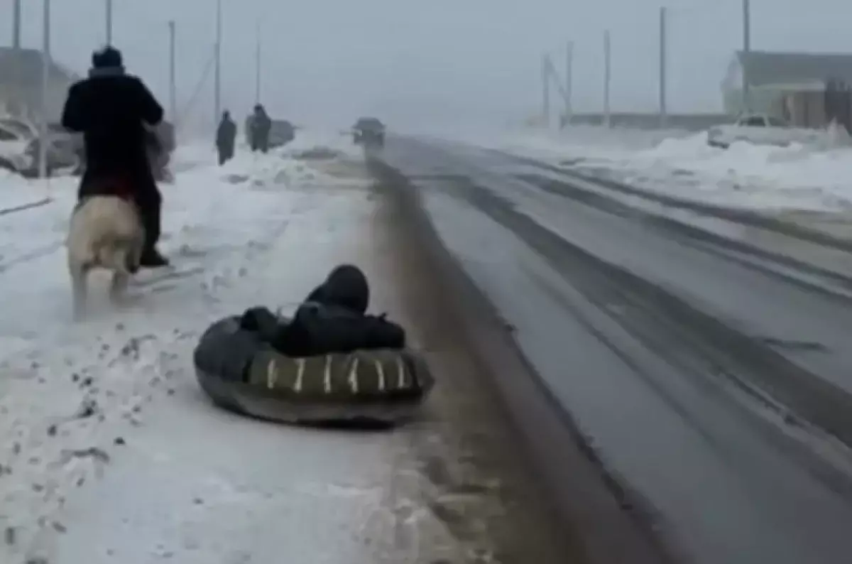 Катание на ватрушке, привязанной к хвосту пони в Актобе, разозлило казахстанцев