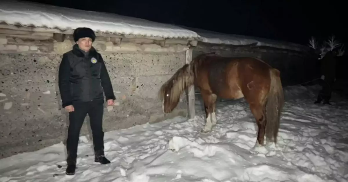   Бір үйір жылқыны сатып жіберген елу жастағы ұры ұсталды   